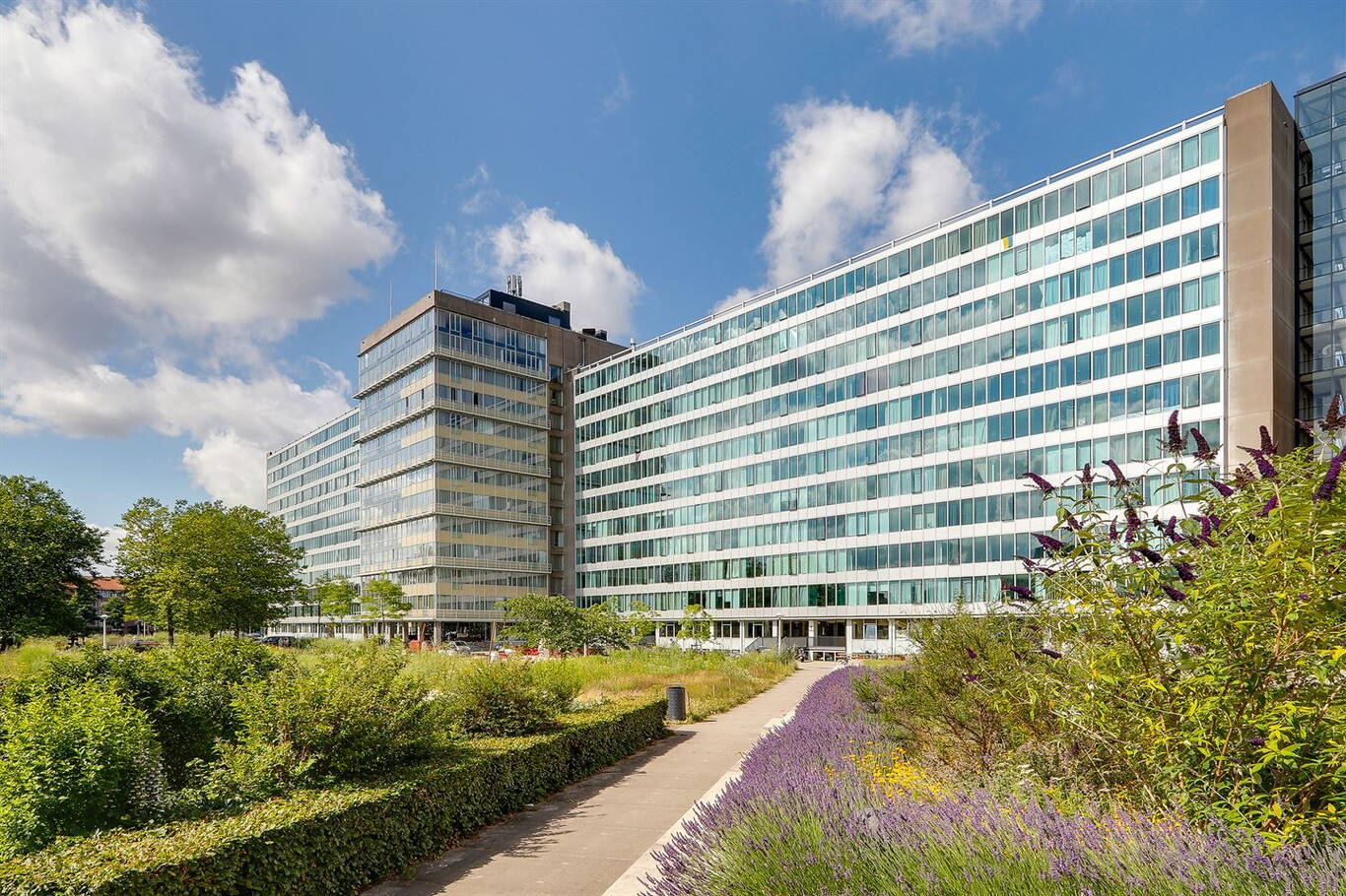 Bos en Lommeplantsoen 97P Amsterdam Bos en Lommeplantsoen 97P Amsterdam