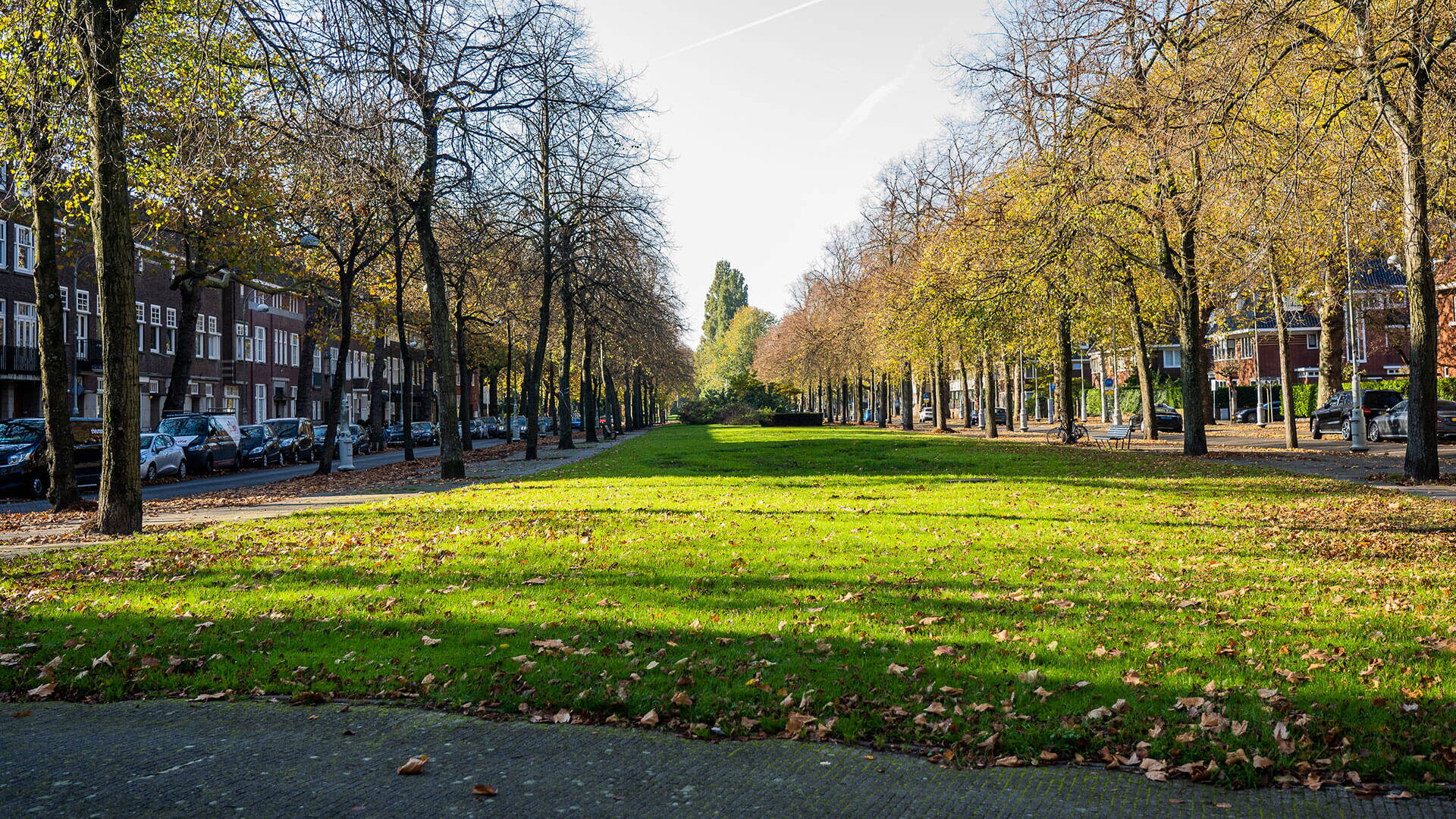 Amsterdam-Zuid