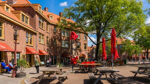 Vogelbuurt & IJ-plein Vogelbuurt & IJ-plein