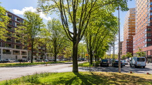 Waterlandpleinbuurt Waterlandpleinbuurt