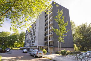 Amerbos 260, AMSTERDAM