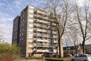 Grote Beer 133 AMSTELVEEN