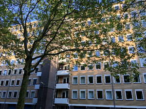 Van Nijenrodeweg 593 AMSTERDAM