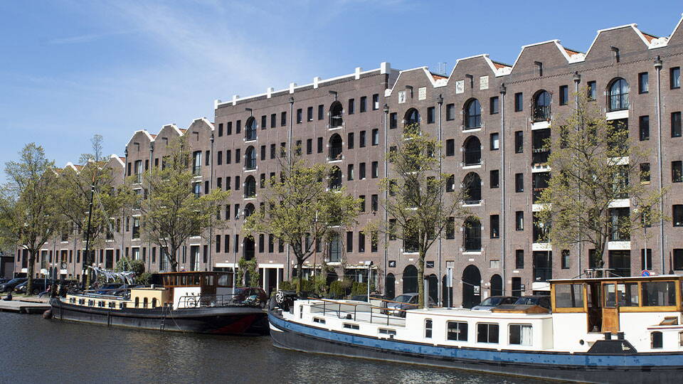 De mens is de maat der dingen